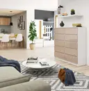 Komoda K120 10SZ bílá/cappuccino lesk