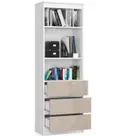 Regál R60 3SZ2P bílá/cappuccino lesk