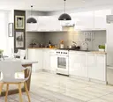 Kuchyňská skříňka Olivia S60 2D bílá/bílý lesk