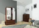 Šatní skříň S90 2D2SZ se zrcadlem wenge