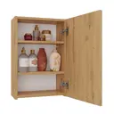 Koupelnová skříňka Pola 1DL Artisan