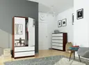 Šatní skříň S90 2D2SZ se zrcadlem wenge/bílá