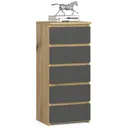 Komoda CL5 dub artisan/grafitová šedá