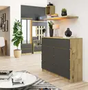Komoda K120 8SZ dub artisan/grafitová šedá