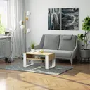Konferenční stolek Domi dub artisan/bílá