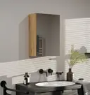 Koupelnová skříňka Pola 1DL Artisan