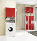 Koupelnová skříňka Fin 30 2D1SZ1W bílá/červený lesk