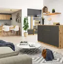 Komoda K160 2D4SZ dub artisan/grafitová šedá