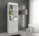 Regál R60 3SZ2P bílá/metalický lesk