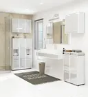 Koupelnová skříňka Fin 30 2D1SZ bílá/metalický lesk