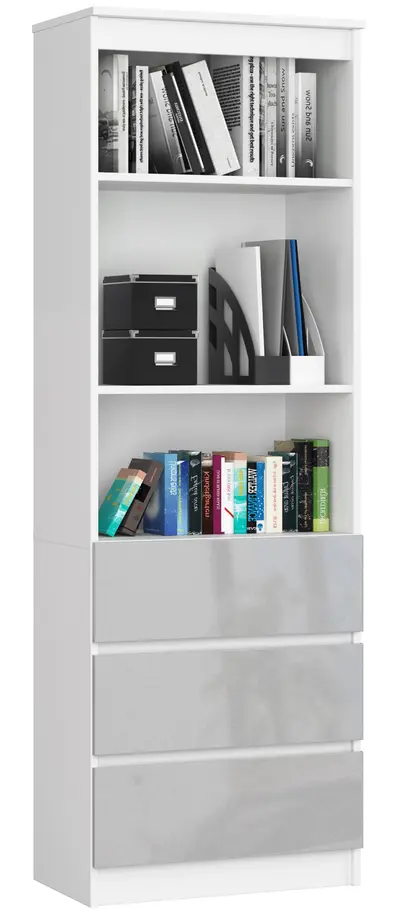 Regál R60 3SZ2P bílá/metalický lesk